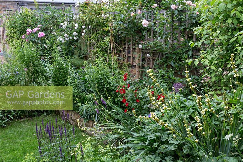 View of mixed border in small London back garden.