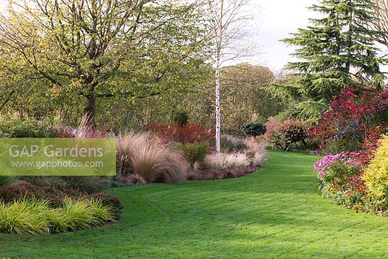 Mixed beds of ornamental grasses, trees, shrubs and perennials laid out informally with wide grass paths
