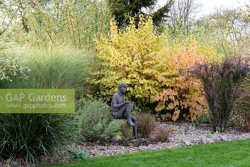 Statue of a seated boy set on boulder in gravel bed with backdrop of Cornus - dogwood. Other plants as specimens in gravel include: Berberis Miscanthus