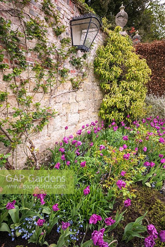 Flowering spring border at Pashley Manor Gardens, East Sussex, UK. 