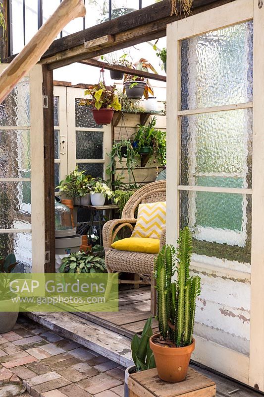 View into Conservatory to wicker chair and collection of potted succulents and houseplants. 
