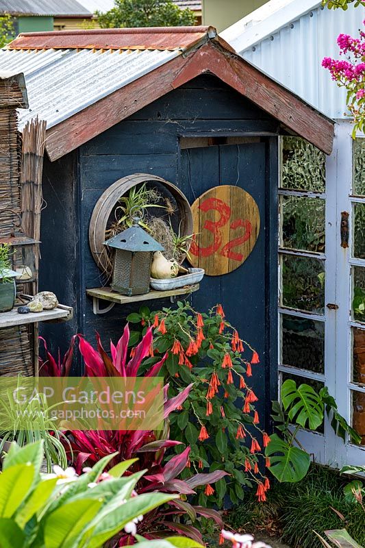 Grey painted outhouse with tropical plants in Australian garden. 