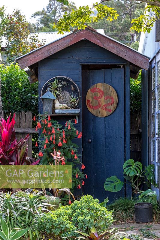 Grey painted outhouse with tropical plants in Australian garden.