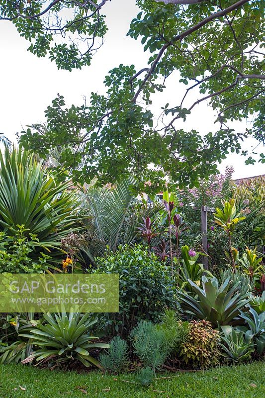 Lush, layered garden garden border incorporating plants with colourful foliage, shapes and textures.