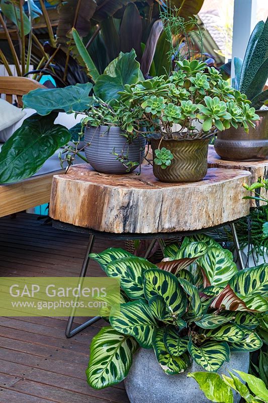 A group of pots sitting on top of a bespoke sliced log tables on a timber deck. 