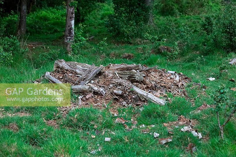 Pile of decomposed timber - diverse habitat on nature reserve