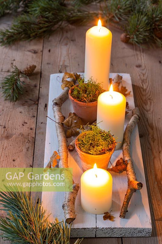 Rustic table centerpiece with birch twigs, autumnal leaves and terracotta pots filled with moss. 