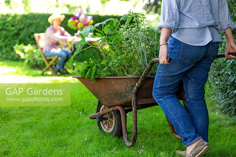 Woman pushes wheelbarrow planted with mixed herbs towards woman sitting at table on a lawn.