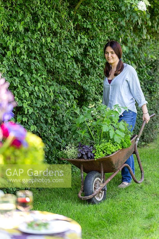 Woman pushes wheelbarrow planted with mixed herbs towards a table on a lawn. 