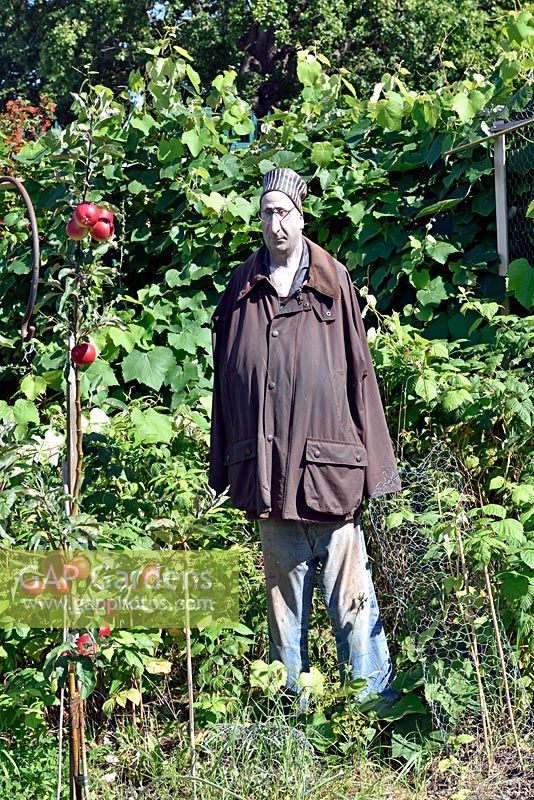 Lifelike Male scarecrow wearing waxed jacket, Golf Course Allotments, London, UK.