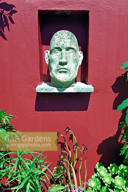 Stone statue of mans head in garden wall niche. 