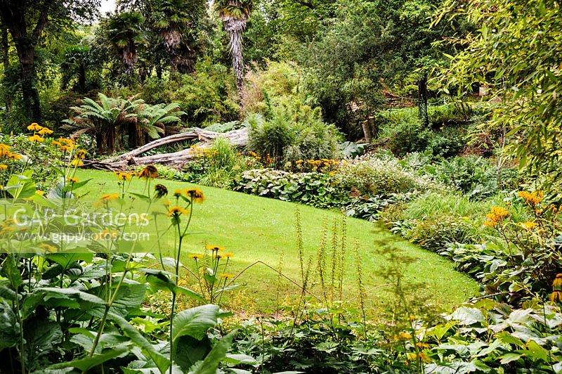 Abbotsbury Subtropical Garden, Dorset, UK. 