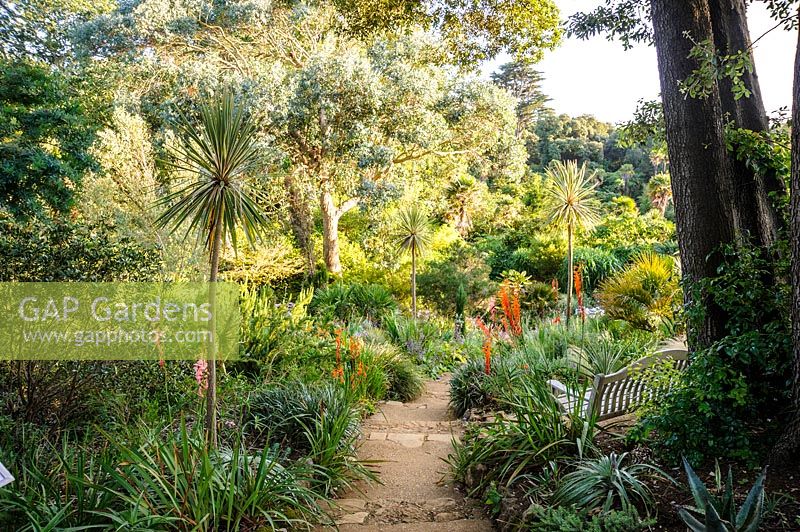Steps lead down the Mediterranean Bank at Abbotsbury Subtropical Gardens,  Dorset, UK.