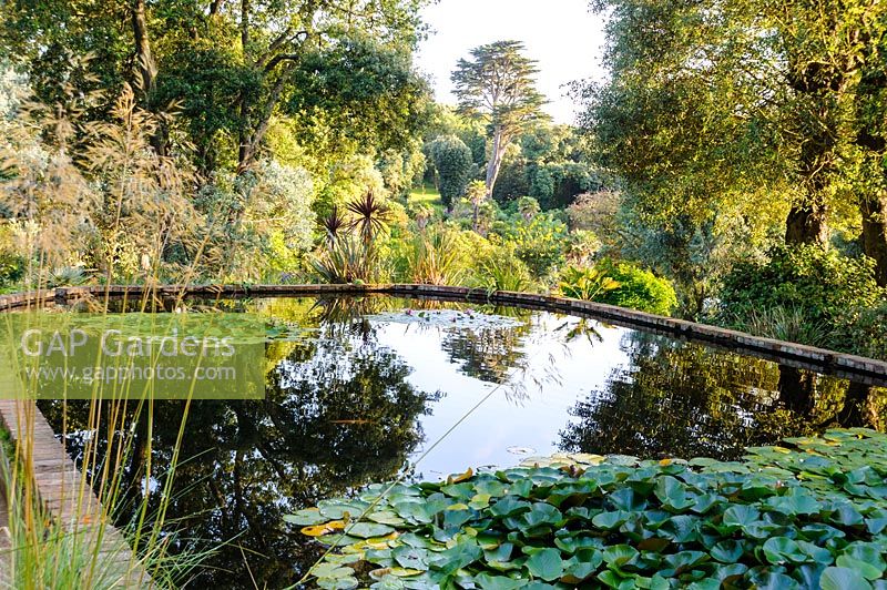 Victorian lily ponds at Abbotsbury Subtropical Gardens, Abbotsbury, Dorset, UK.