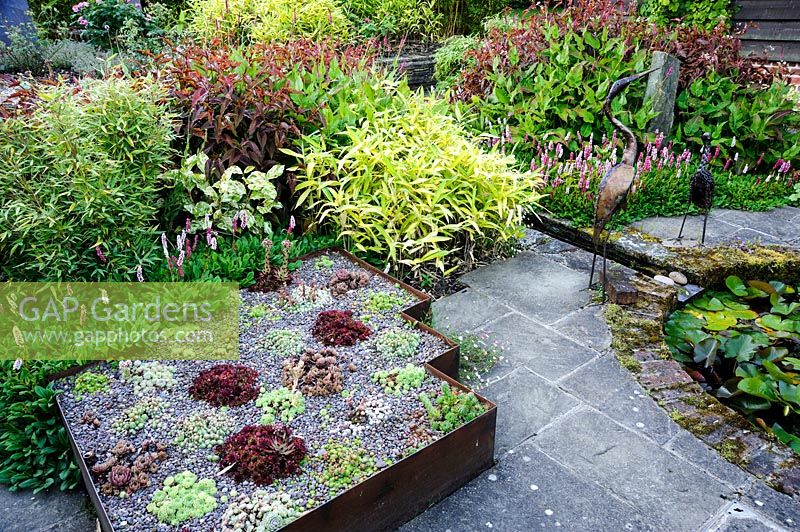The Carpet Garden at Dipley Mill, Hartley Wintney, Hants, UK. 