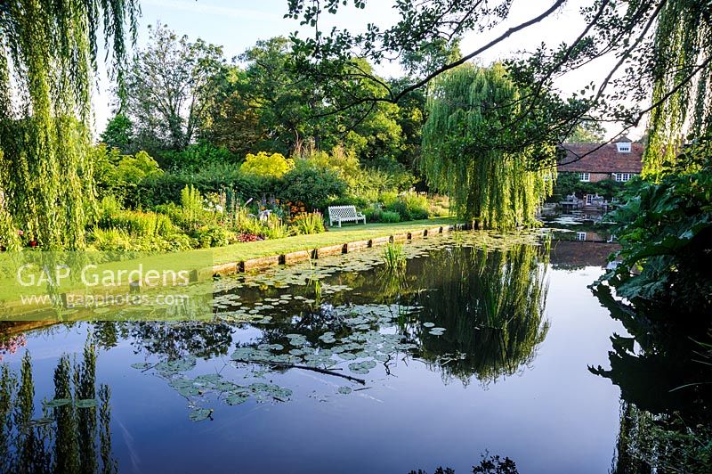 Hrbaceous border, framed by hanging foliage of weeping willows. Dipley Mill, Hartley Wintney, Hants, UK