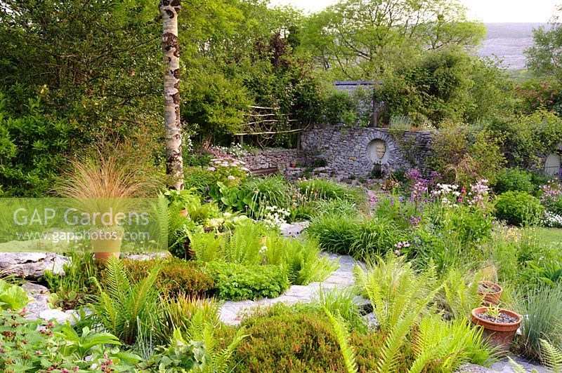 Ferns and grasses with raised alpine bed. Fanore, Ireland