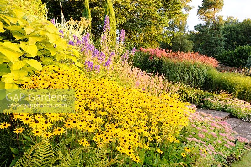Sunny bank with Rudbeckia, Catalapa and Miscanthus, Newport, Wales.