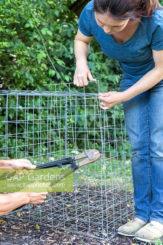 Two women using bolt cutters to remove a section of gabion basket