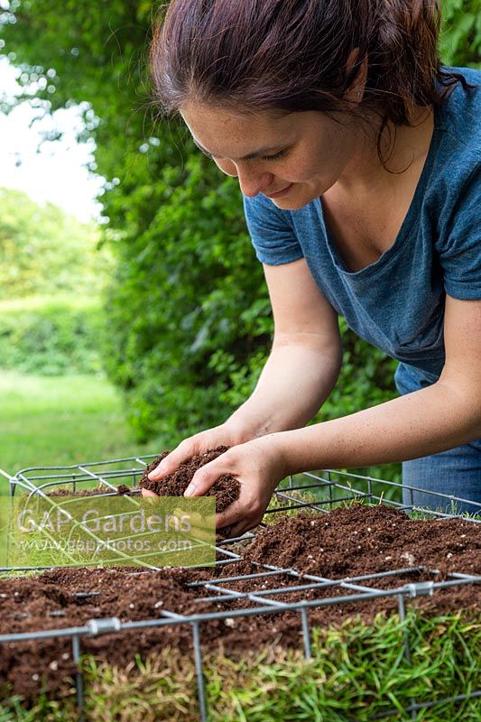 Woman adding a layer of compost to the top of metal gabion lined with turf