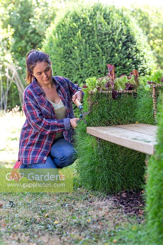 Woman using garden shears to trim grass on living gabion bench
