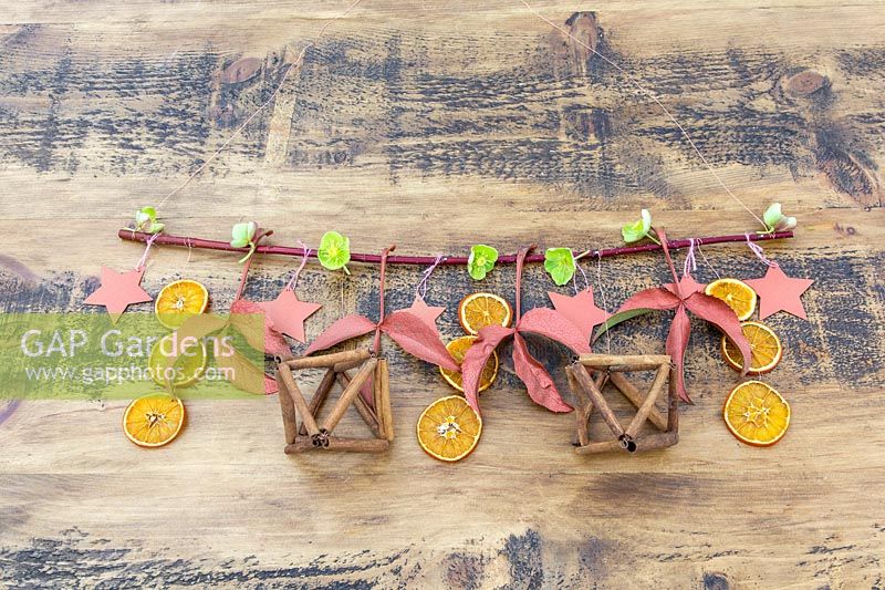 Festive advent branch decorated with dried orange slices, hellebore leaves and flowers, cardboard stars and cinnamon stick decorations