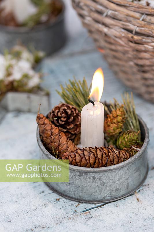 Galvanised candle holder decorated with Pine foliage and Pine cones