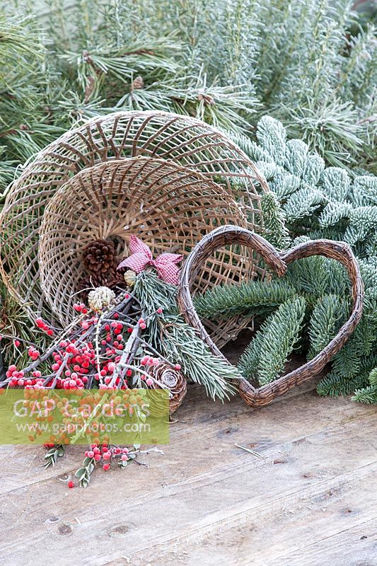 Bamboo cloches, Ilex berries and Fir foliage in frosty winter scene