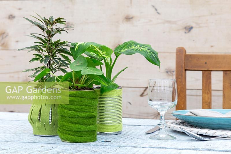 Felt and wool covered tin cans planted with green houseplants. 