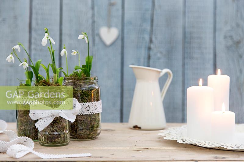Snowdrops - Galanthus woronowii planted into jam jars decorated with lace ribbon