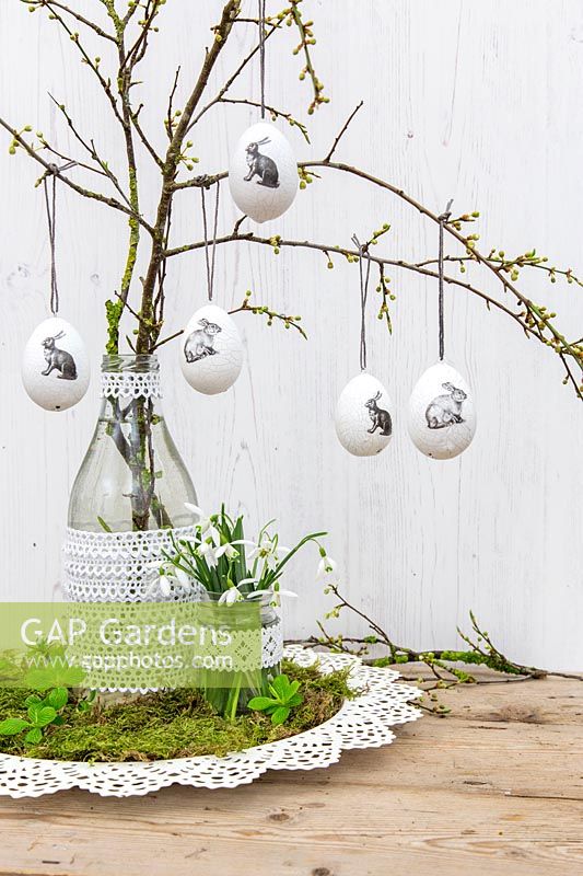 Easter arrangement eggs hanging on branches, Snowdrops and vases decorated with lace