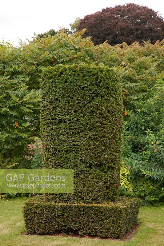 Clipped yew topiary pillar, Scampston Hall, North Yorkshire, UK