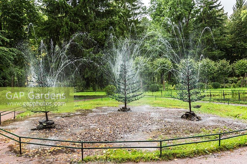 Firs trick water fountains, Peterhof Palace,  Saint-Petersburg, Russia.  UNESCO World Heritage Site.