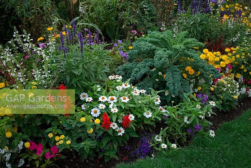 Vegetables to add interest to a summer flower border.  