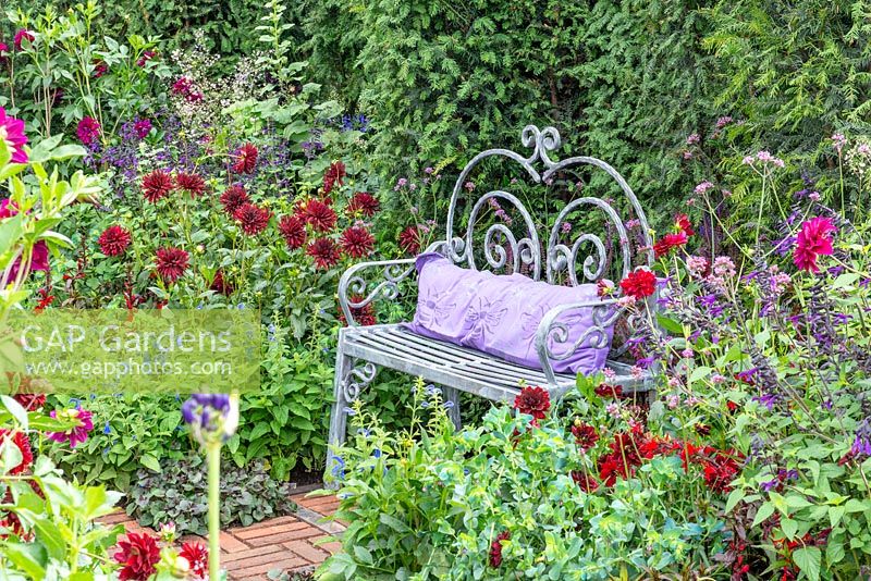 Decorative metal bench surrounded by borders filled with Dahlia 'Admiral Rawlings', Dahlia 'Arabian Mystery', Verbena bonariensis, Salvia 'Amistad' and Salvia patens - The Flowers of Arley, RHS Tatton Park Flower Show 2018