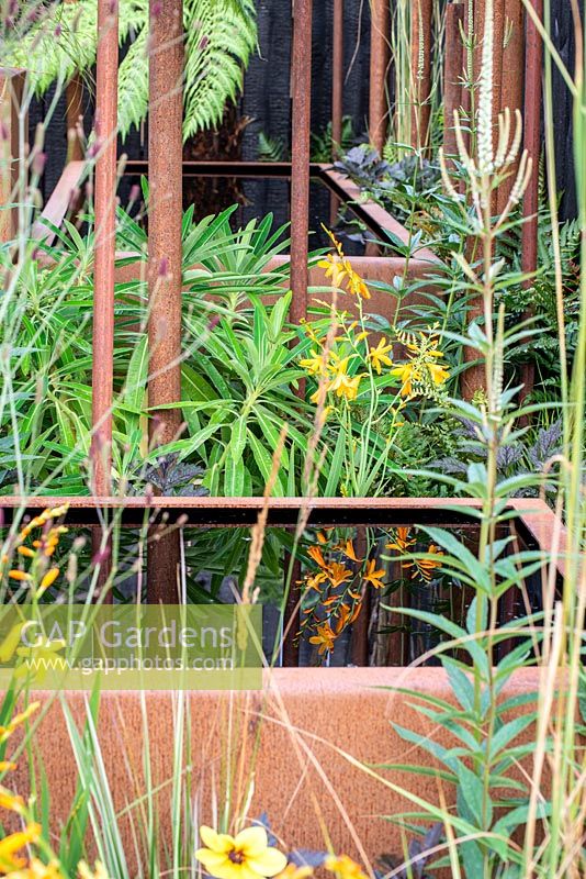Reflection of Crocosmia 'George Davison' in a Corten water container - Bee's Gardens: The Penumbra, RHS Tatton Park Flower Show 2018