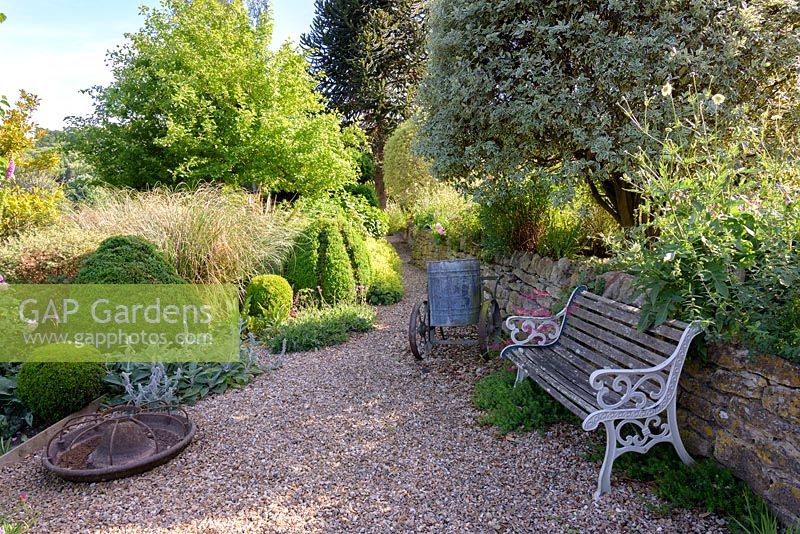 Gravel garden with bench, variegated pittosporum and clipped box - Private Garden, Somerset, UK