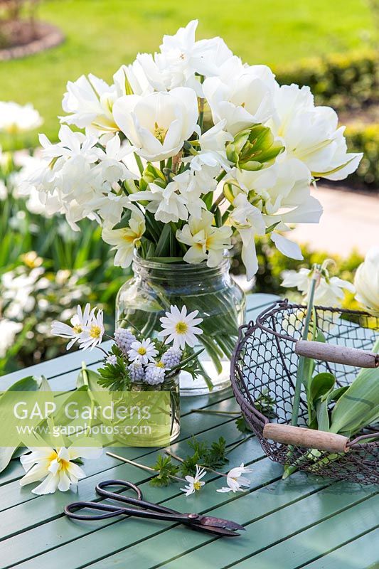 Glass vase with White Narcissus and Tulipa 