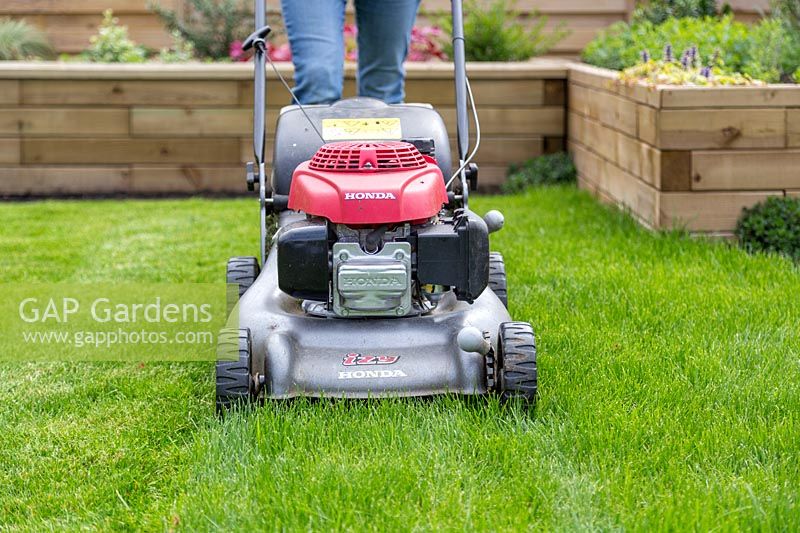 Woman mowing lawn with petrol lawn mower 