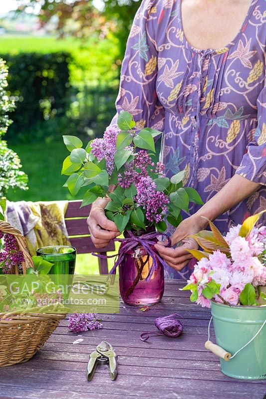 Woman tying raffia bow to arrangement of Syringa - Lilacs in glass jar in Spring