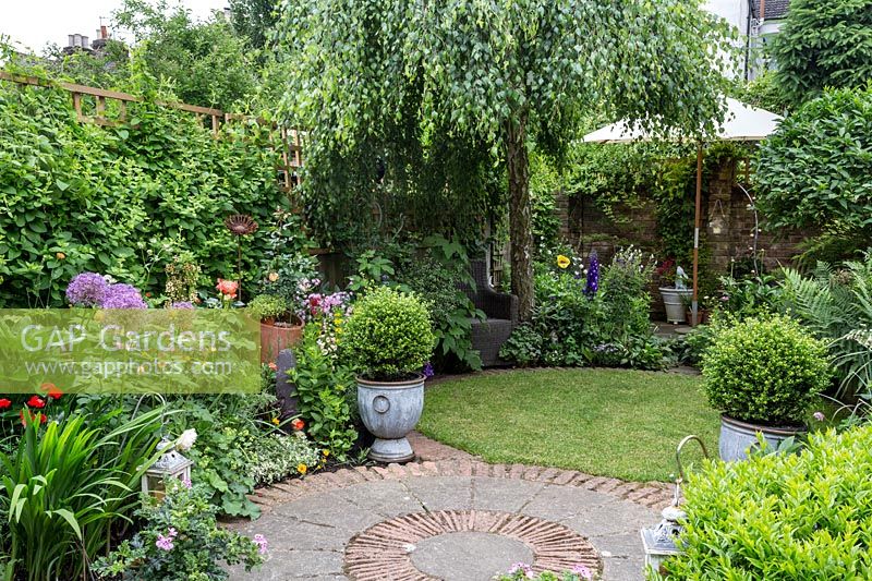 Borders in a small urban garden with paved area, shady lawn under a silver birch, Betula Pendulum 'youngii'