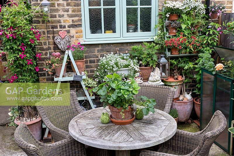 Wooden table and wicker chairs with strawberry plant 'Florence'
