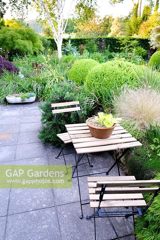 Seating area on terrace with clipped box spheres, grasses and rosemary.