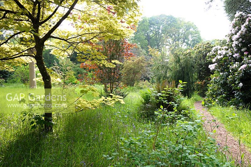 Paths lead between a great variety of mature trees and shrubs, including both 
deciduous and evergreen specimens, through long grass studded with wild flowers and bulbs.