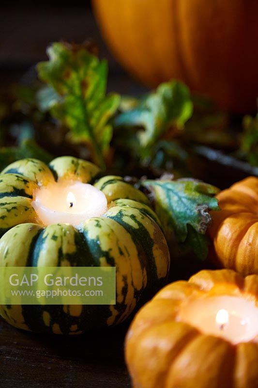 Decorative gourds - hollowed out as candle holders