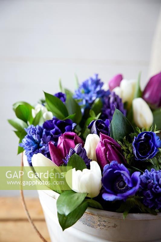 Tulips, Anemones and Hyacinths