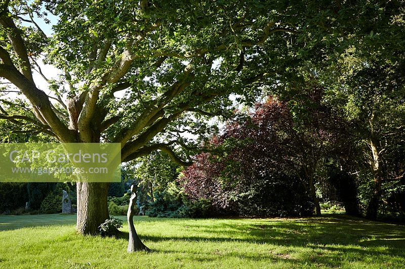 Sculpture under mature Quercus  - oak tree, England, UK