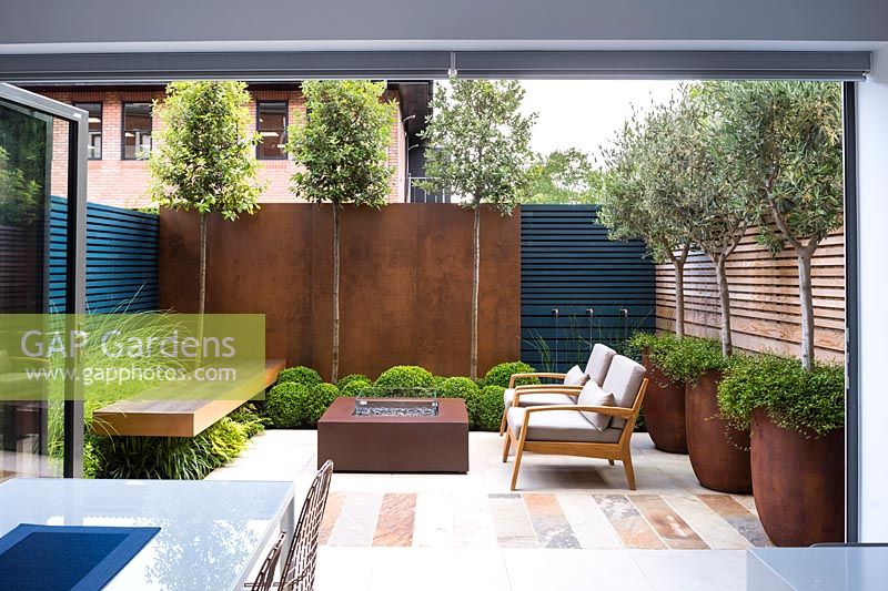 Contemporary seating area with fireplace and wooden bench surrounded by Olea 
europaea and Muehlenbeckia complexa in rusted steel containers, Quercus ilex, 
Buxus sempervirens balls by rusted panel wall and Miscanthus sinensis 'Morning 
Light' by the bench. View through open windows from the house.