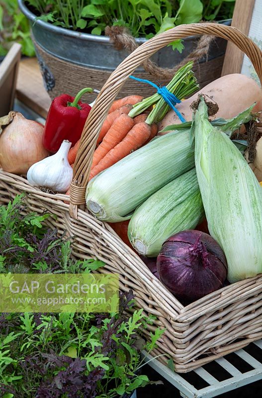 Display of harvested vegetables in wicker basket at garden show

