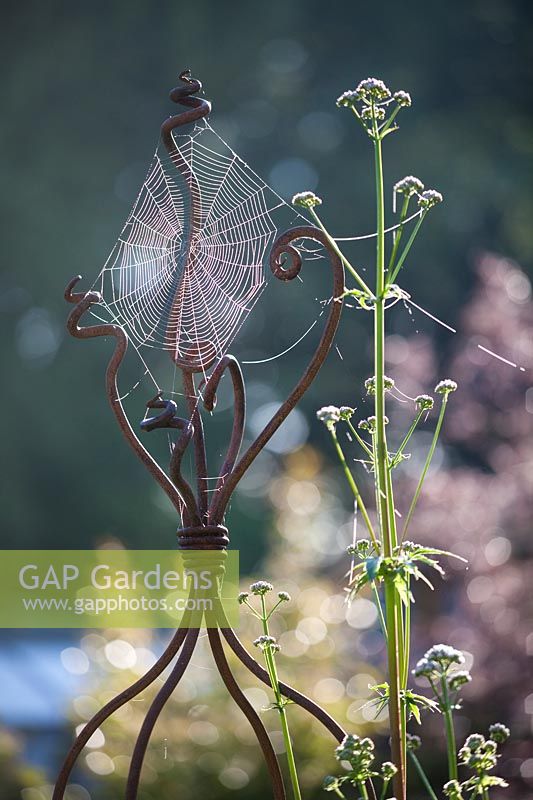 Spider web on a wrought iron plant support